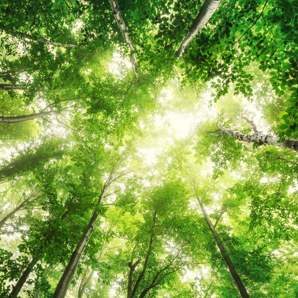 Sustainable ProductionImage